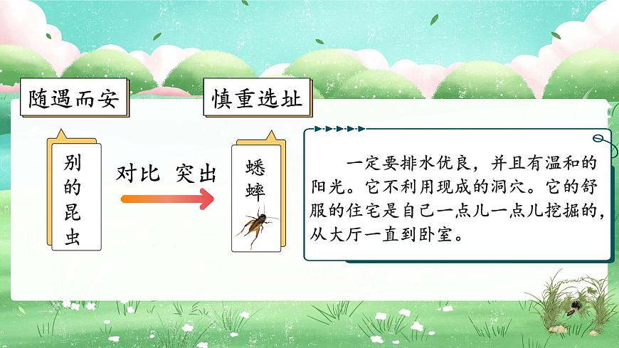 11 蟋蟀的住宅第8頁