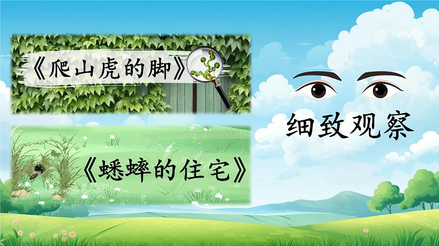 口語交際《愛護(hù)眼睛，保護(hù)視力》第1頁