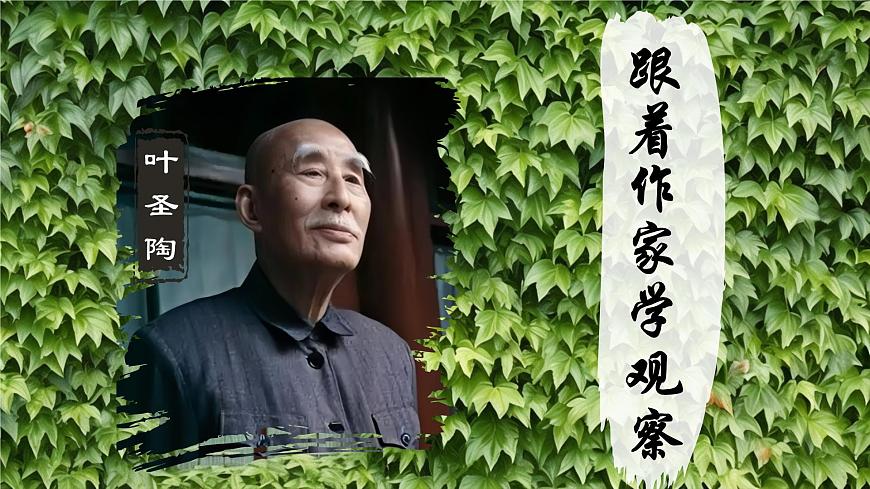 10 爬山虎的腳第1頁(yè)