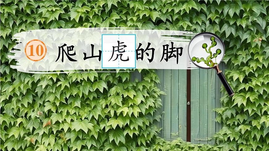 10 爬山虎的腳第3頁(yè)