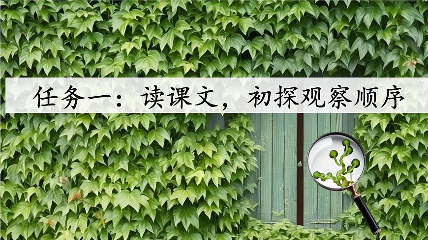 10 爬山虎的腳第5頁(yè)