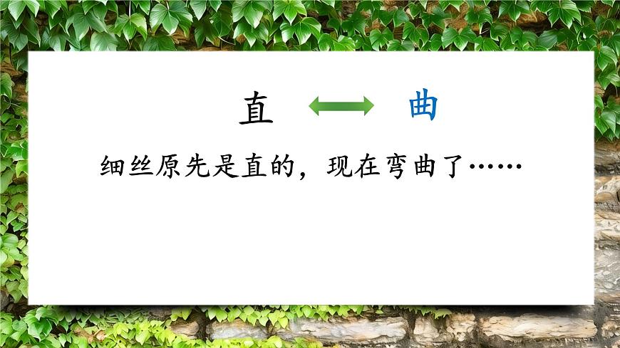 10 爬山虎的腳第7頁(yè)