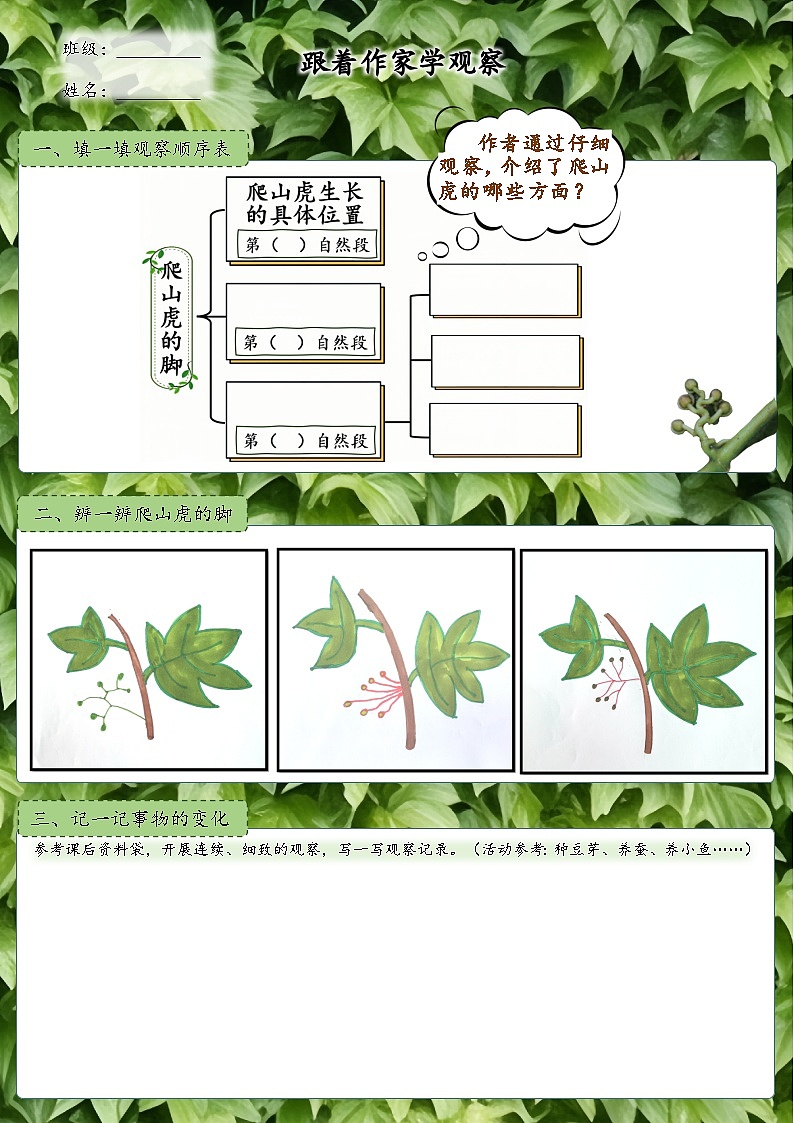 10爬山虎的腳 特色作業(yè)第1頁(yè)