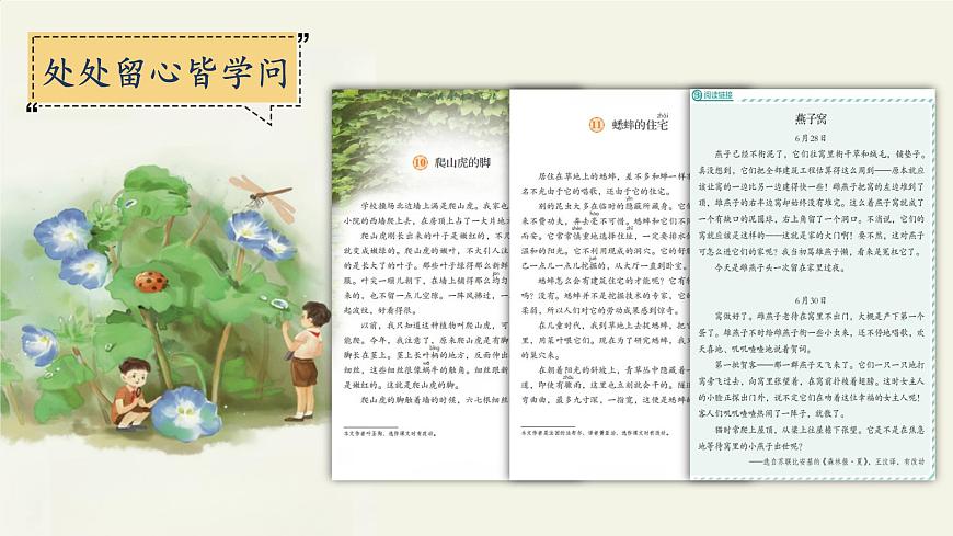 習(xí)作:寫觀察日記第1頁(yè)