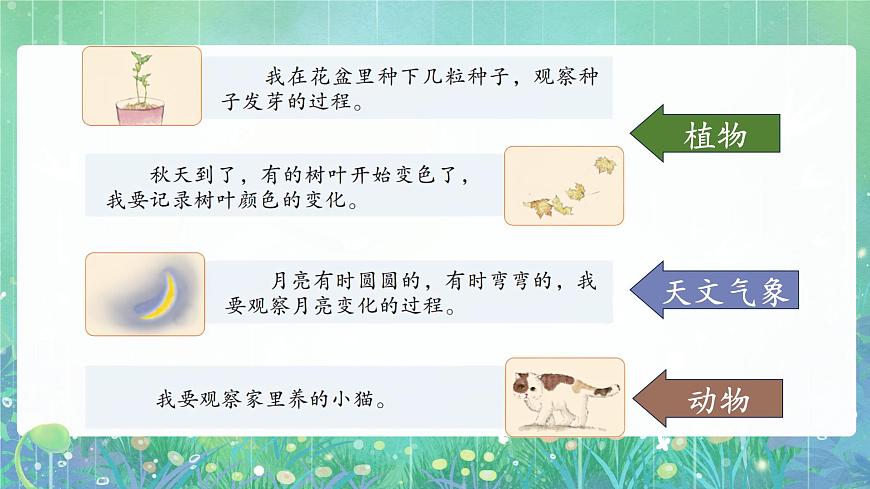 習(xí)作：寫觀察日記第6頁(yè)