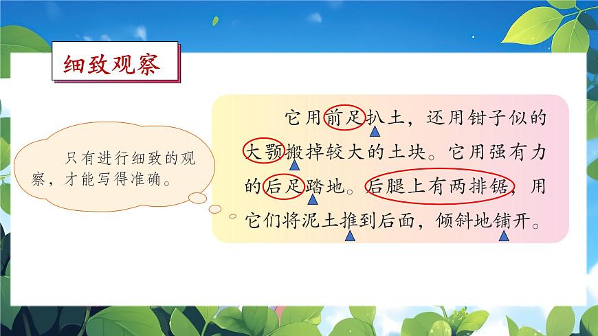 語文園地三第5頁