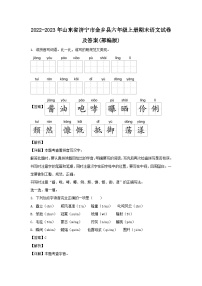 2022-2023年山东省济宁市金乡县六年级上册期末语文试卷及答案(部编版)