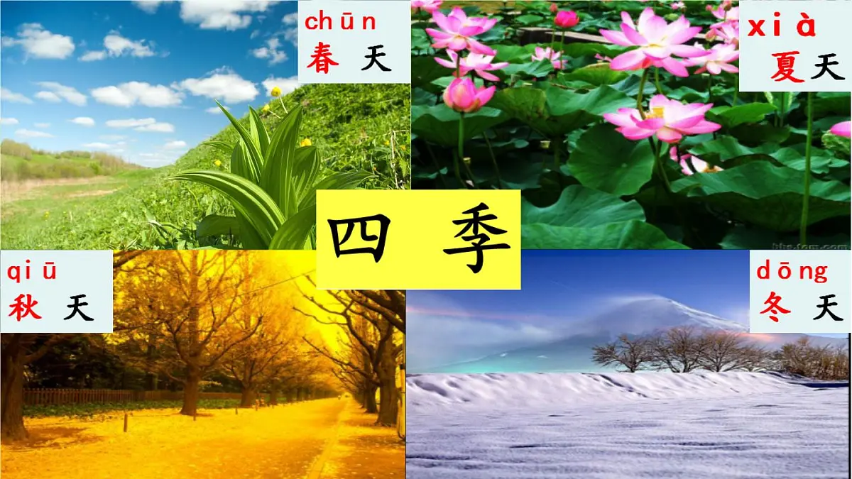 小学 语文 统编版(2024) 一年级上册(2024) 第五单元 阅读4 四季 课件第2页