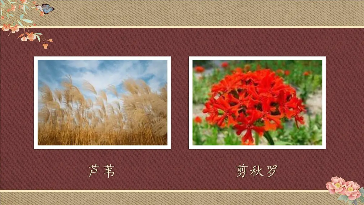 (24人教统编版小学语文)四年级上册第一单元3 现代诗二首【课件】第6页