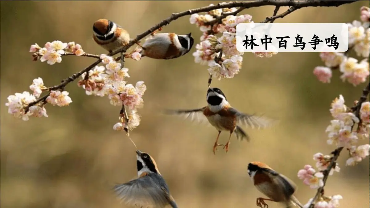 24人教统编版小学五年级语文上册第七单元习作:______即景第1课时 课件第5页