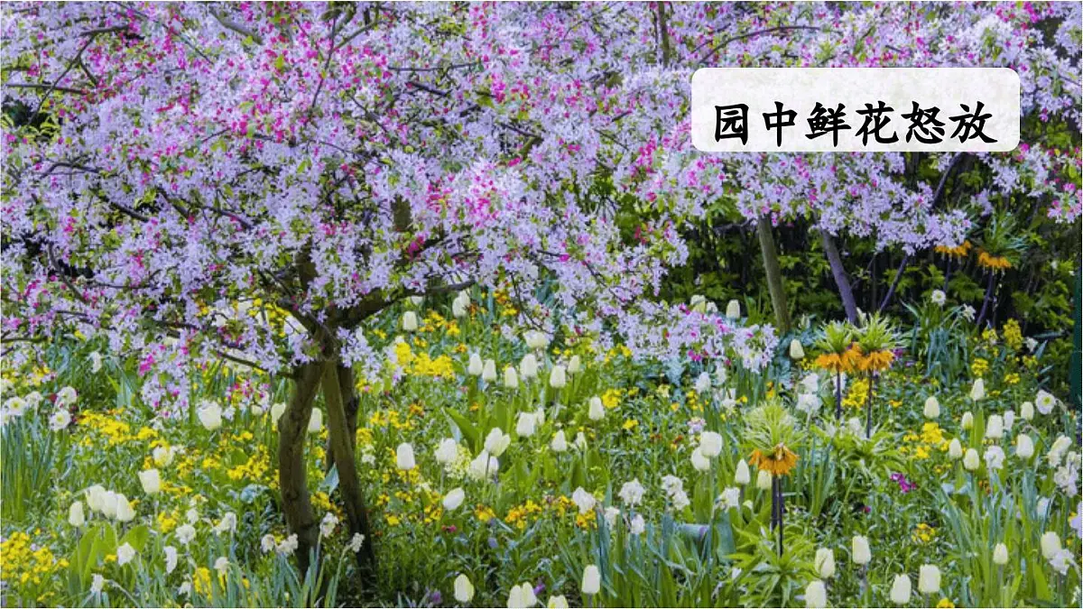 24人教统编版小学五年级语文上册第七单元习作:______即景第1课时 课件第6页