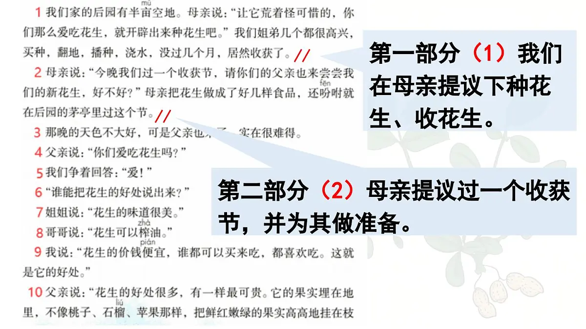 24人教统编版小学五年级语文上册第一单元2.落花生第2课时 课件第3页
