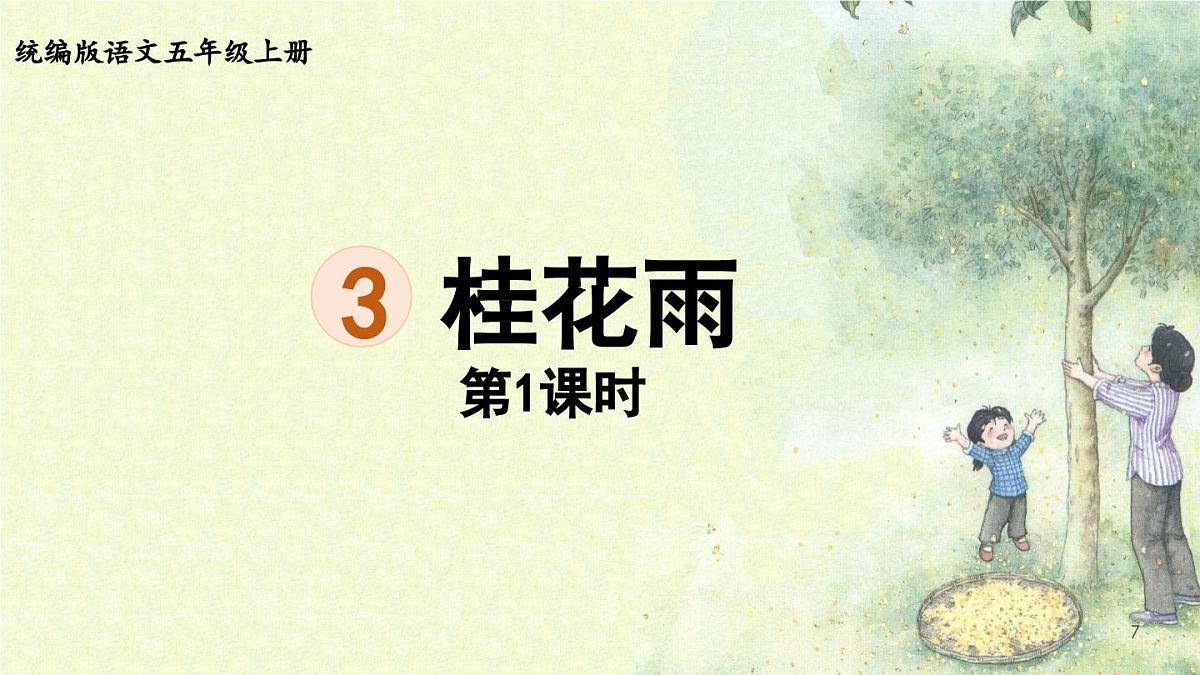 24人教统编版小学五年级语文上册第一单元3.桂花雨第1课时 课件第1页