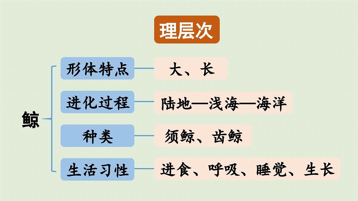 24人教统编版小学五年级语文上册第五单元习作例文与习作第1课时 课件第5页