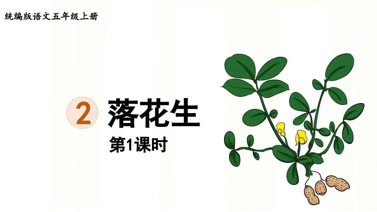 24人教统编版小学五年级语文上册第一单元2.落花生第1课时 课件第1页