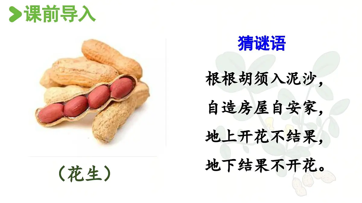 24人教统编版小学五年级语文上册第一单元2.落花生第1课时 课件第2页