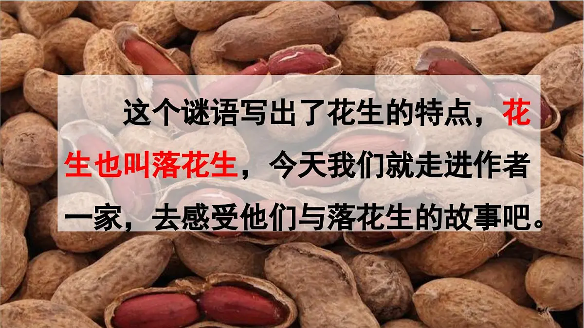 24人教统编版小学五年级语文上册第一单元2.落花生第1课时 课件第3页