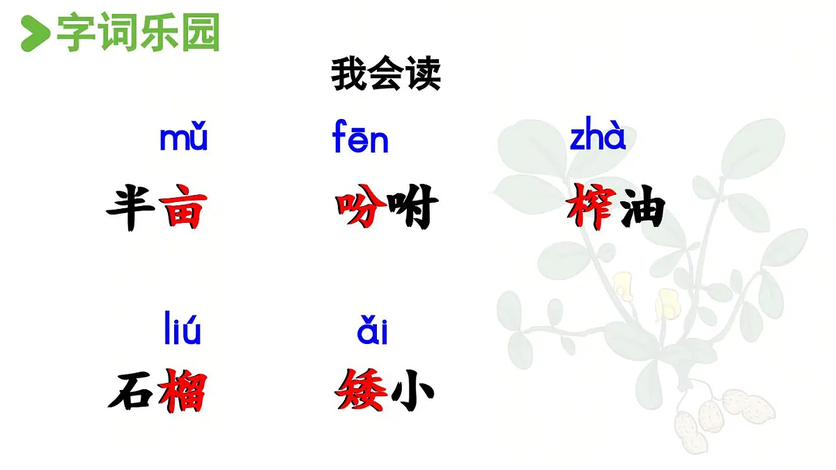 24人教统编版小学五年级语文上册第一单元2.落花生第1课时 课件第6页