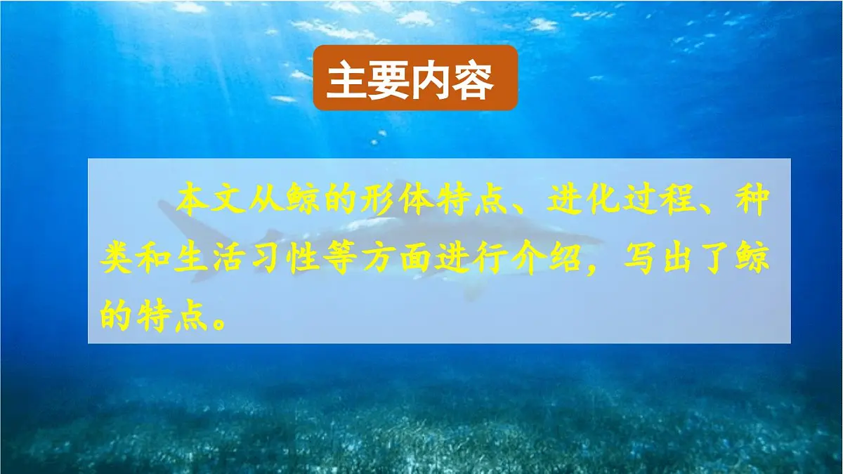 24人教统编版小学五年级语文上册第五单元习作例文与习作第1课时 课件第4页