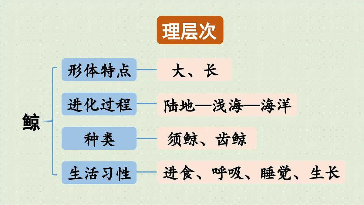 24人教统编版小学五年级语文上册第五单元习作例文与习作第1课时 课件第5页