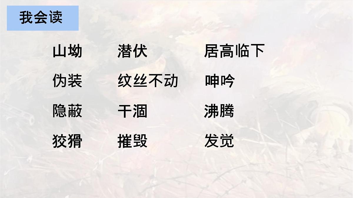 统编版六年级语文上册课件《9 我的战友邱少云》第5页