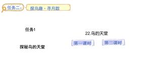 小学语文统编版（2024）五年级上册鸟的天堂教学ppt课件