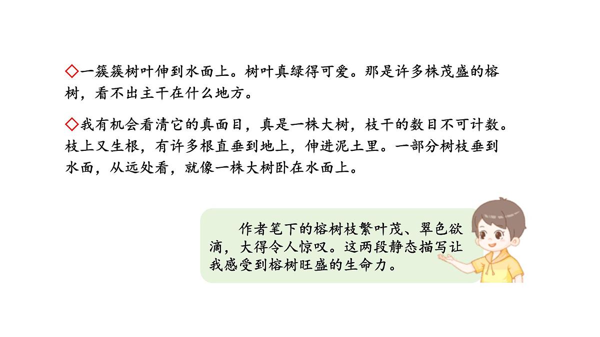 2024统编版-小学语文五年级上册第七单元语文园地七-教学课件第5页