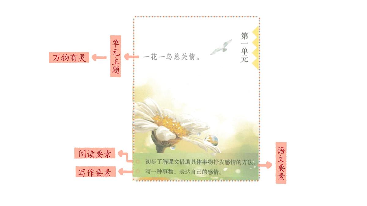 2024统编版-小学语文五年级上册第一单元1.白鹭-教学课件第1页