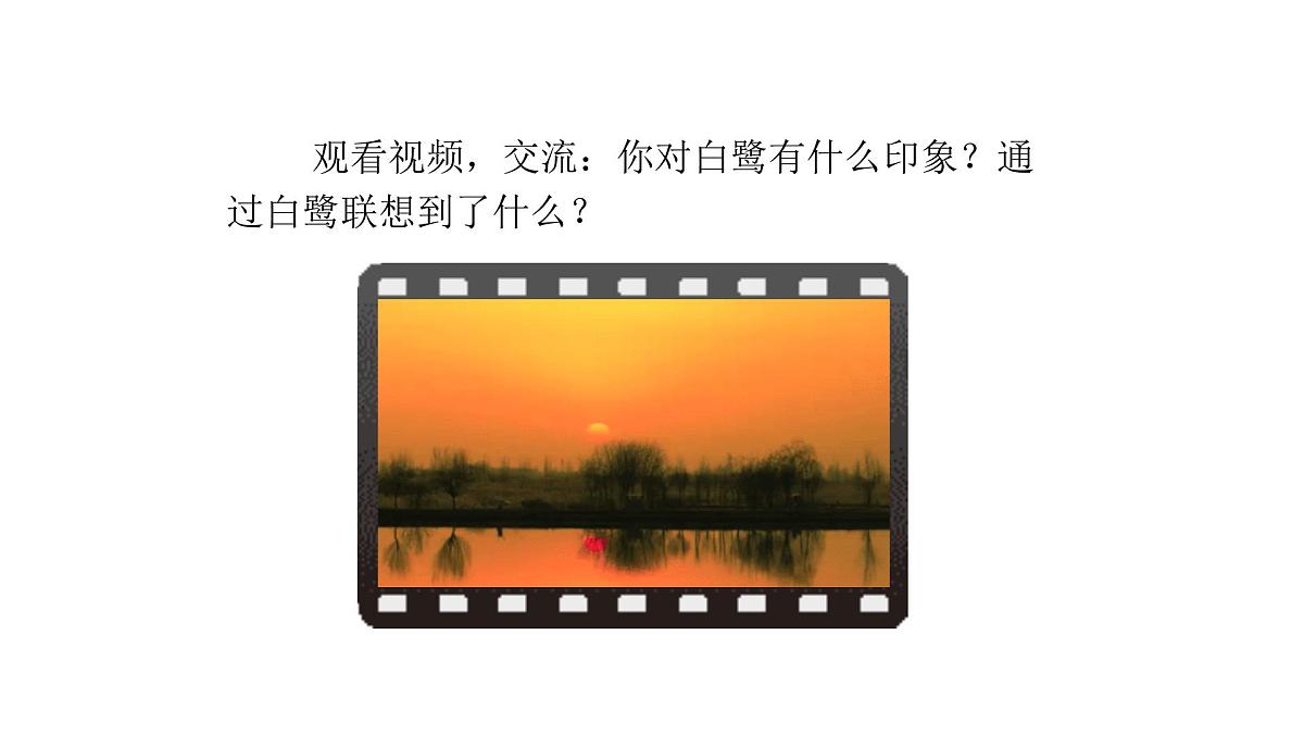 2024统编版-小学语文五年级上册第一单元1.白鹭-教学课件第7页