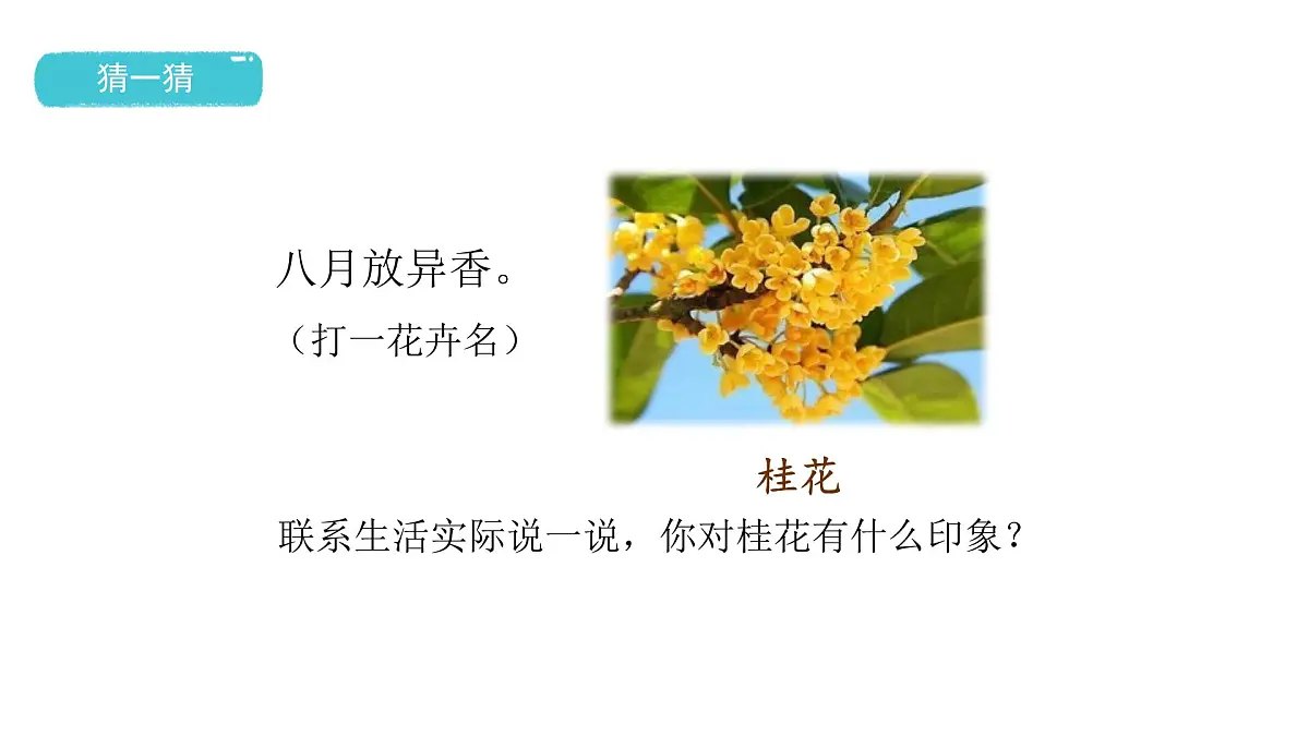 2024统编版-小学语文五年级上册第一单元3.桂花雨-教学课件第4页