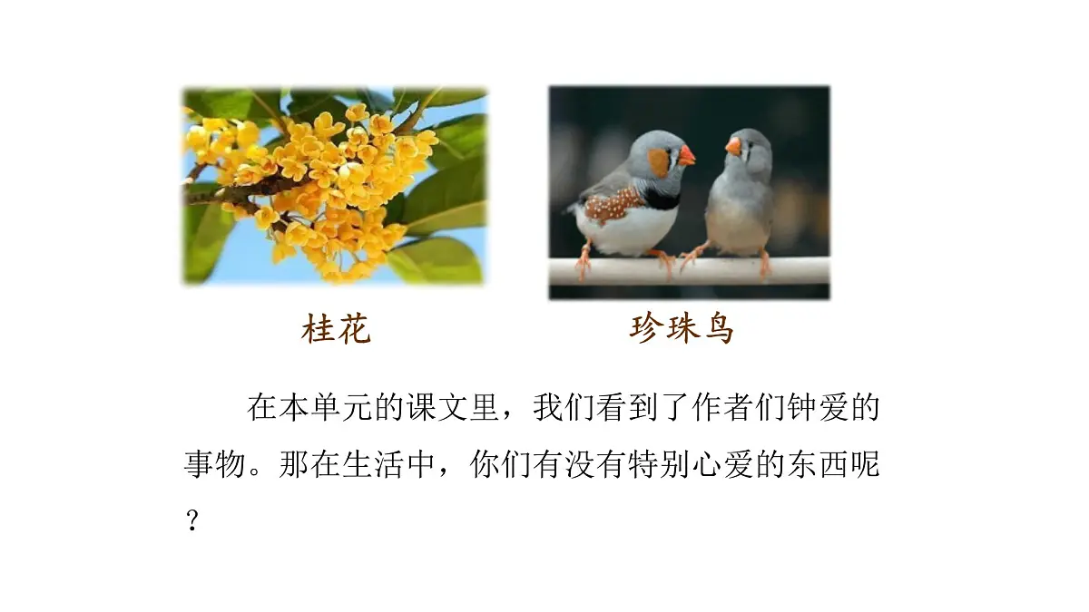 2024统编版-小学语文五年级上册第一单元习作:我的心爱之物-教学课件第4页
