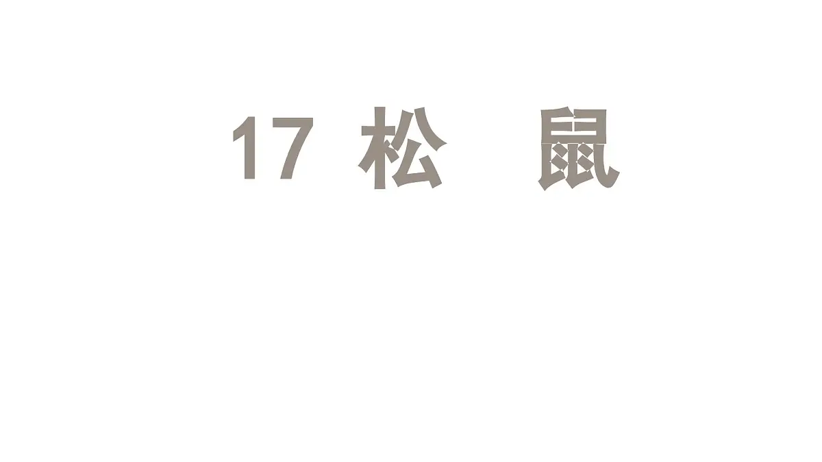 人教统编24版小学语文五年级上册第五单元17.松鼠课件第2页