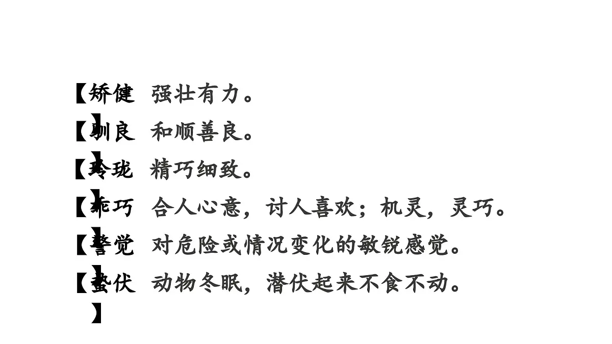 人教统编24版小学语文五年级上册第五单元17.松鼠课件第7页