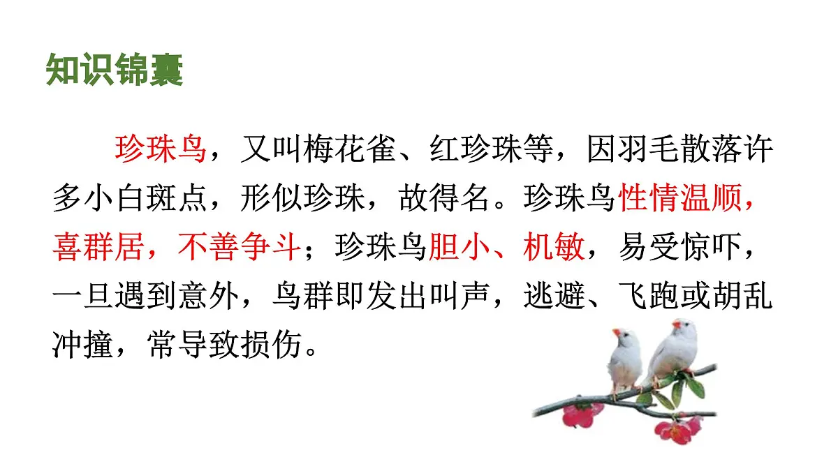 人教统编24版小学语文五年级上册第一单元4.珍珠鸟课件第2页