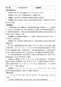 语文二年级上册（2024）13 我要的是葫芦教案