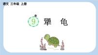 小学语文统编版（2024）三年级上册（2024）第三单元9 犟龟教案配套ppt课件