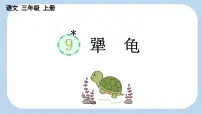 小学语文统编版(2024)三年级上册(2024)第三单元9 犟龟教案配套ppt课件