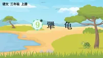 语文三年级上册(2024)9 犟龟图片课件ppt