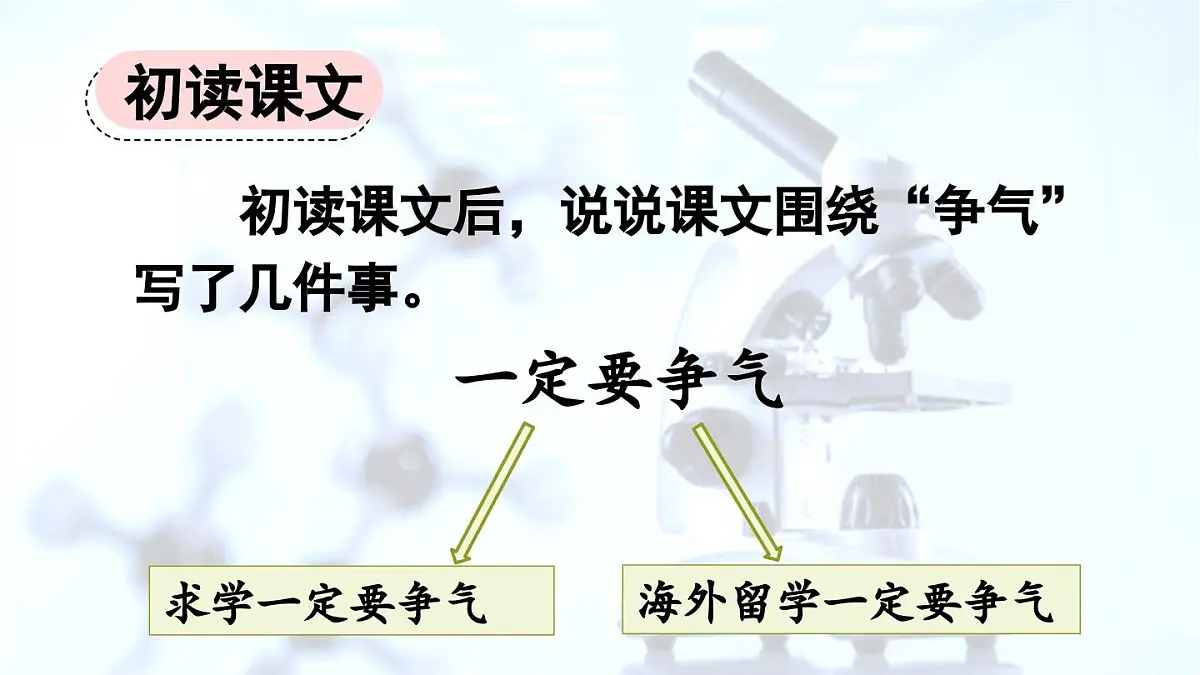 统编版语文三年级上册24 一定要争气【课件】第7页
