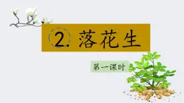 2025年秋統(tǒng)編版小學(xué)語文五年級上冊2.落花生課件2課時