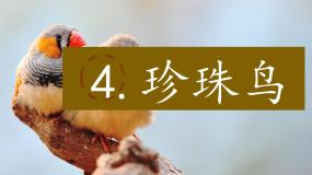 语文五年级上册珍珠鸟完整版ppt课件