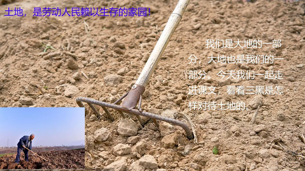 统编版六年级语文上册课件《21 三黑和土地》第7页