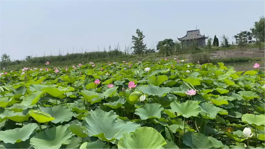 统编版六年级语文上册课件《18 古诗三首-江南春》第3页