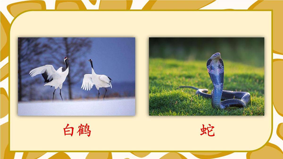 语文园地八【教案匹配版】第3页