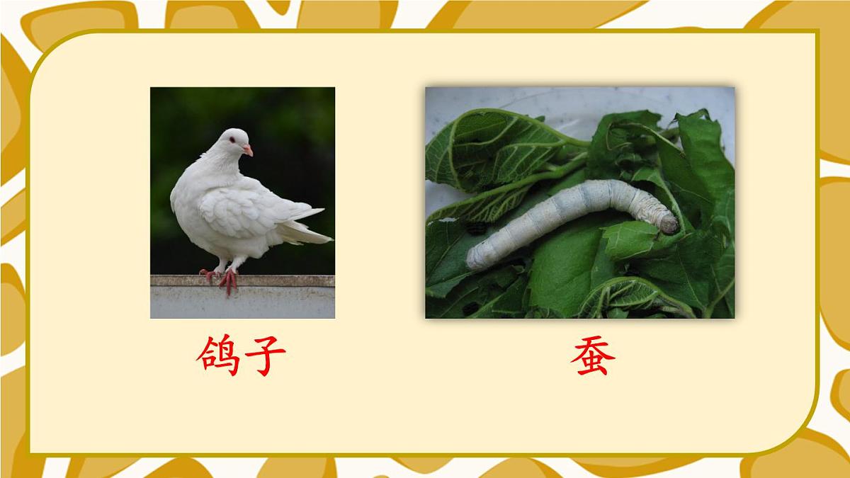 语文园地八【教案匹配版】第4页