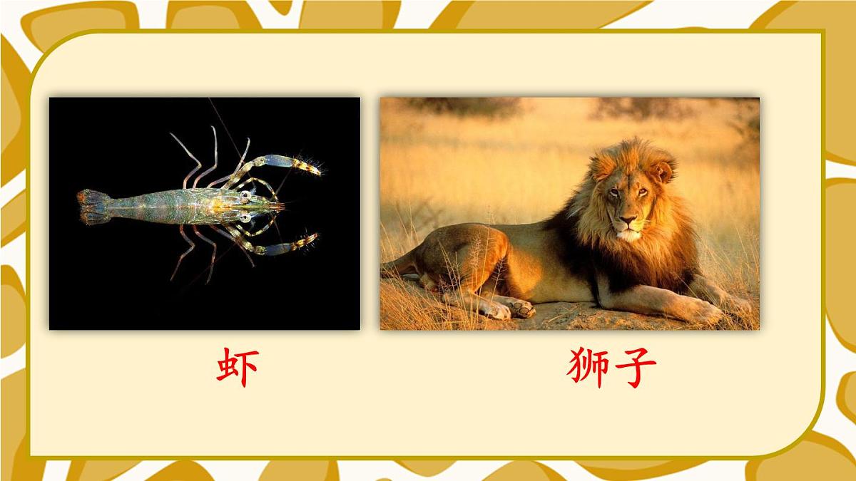 语文园地八【教案匹配版】第6页