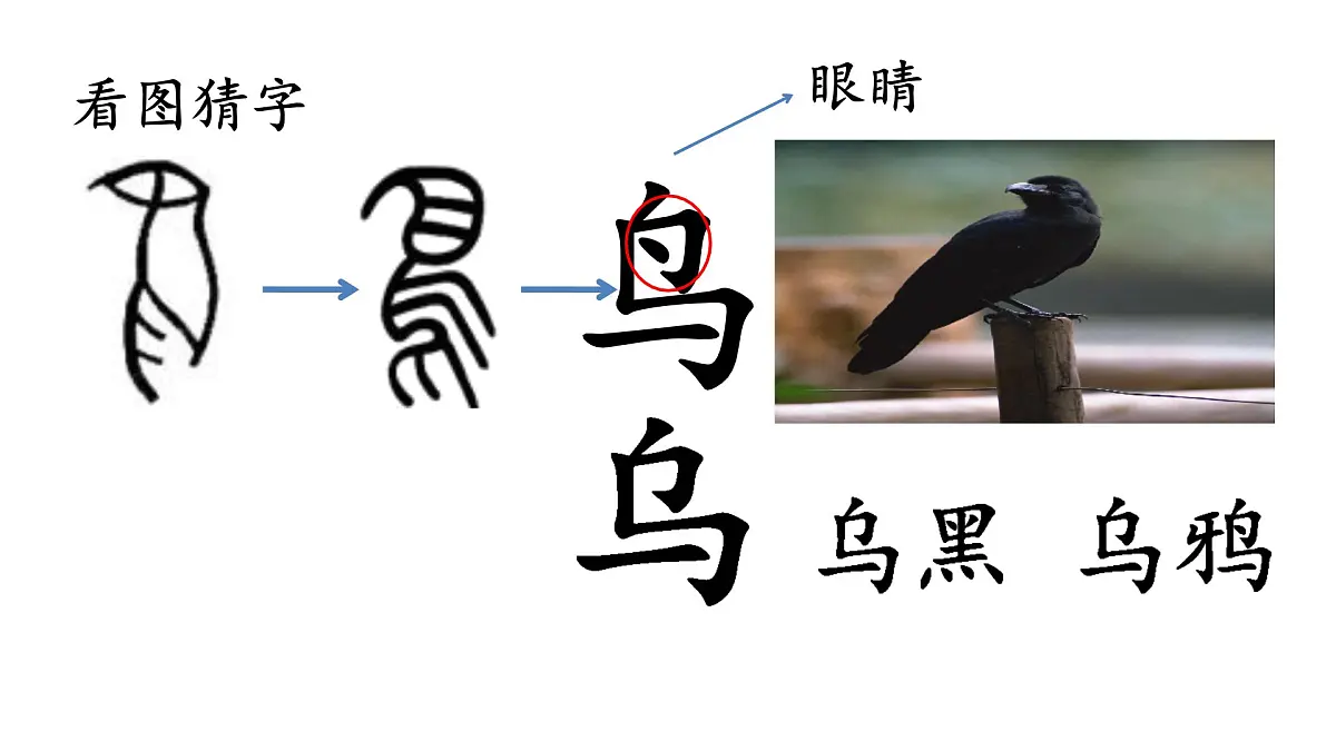 小学 语文 统编版(2024) 一年级上册(2024) 第八单元 阅读9 乌鸦喝水 课件第2页