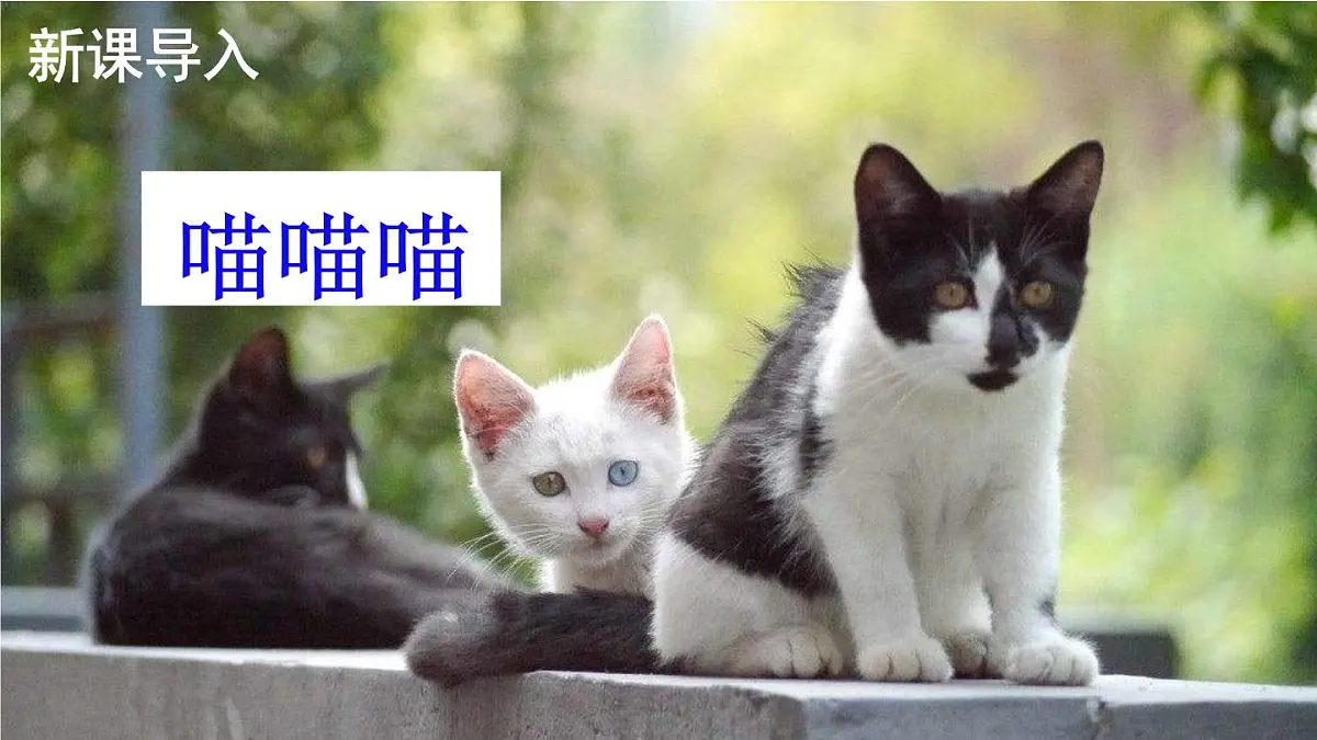 10 小狗学叫【交互版】第2页