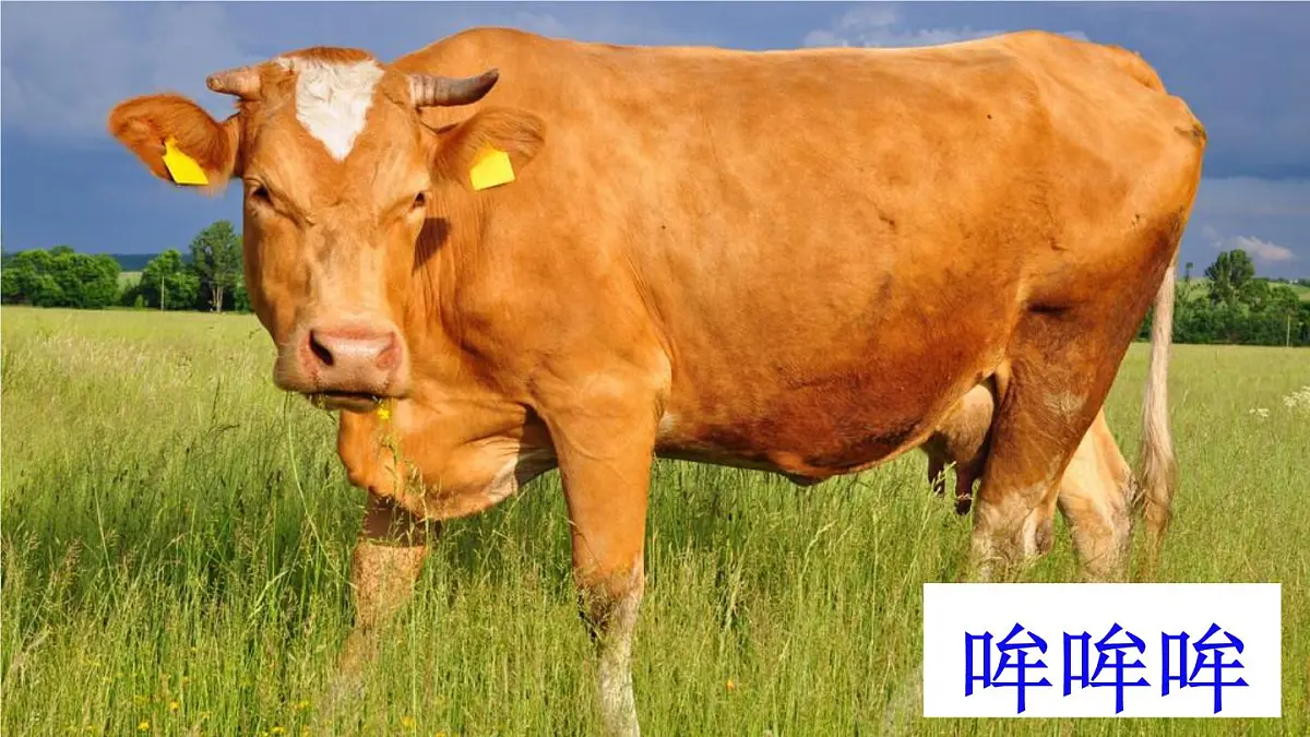 10 小狗学叫【交互版】第3页