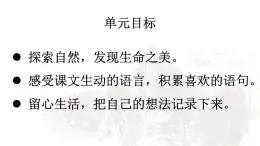 20 古詩(shī)三首【課件】2025-2026學(xué)年部編版三年級(jí)語(yǔ)文上冊(cè)